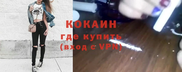амф Каменка