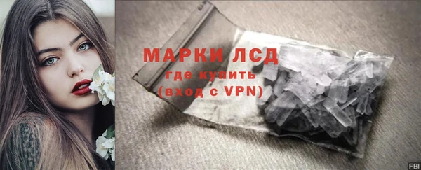 mdpv Каменногорск