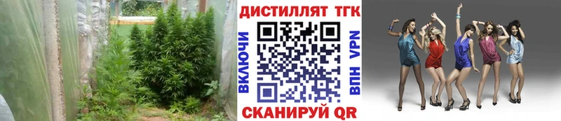 ТГК концентрат как найти закладки ссылка на мегу ССЫЛКА Кедровый