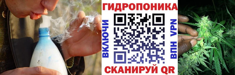 МАРИХУАНА OG Kush Кедровый